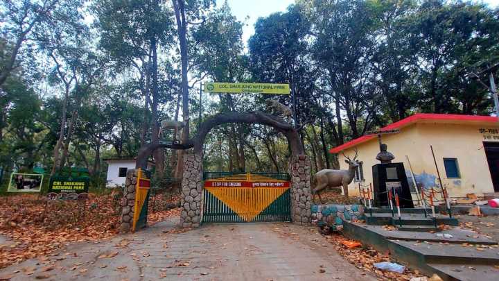 Puruwala–Simbalbara road is lifeline for tribals, not feasible to relocate them: Forest dept to NGT
