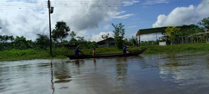 En Araguaimujo votan en medio de las inundaciones por crecida del río Orinoco (+fotos)