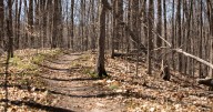 Bow hunting permits issued for Hickory Forest
