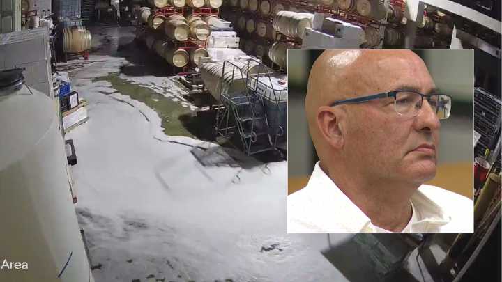 Woodinville, WA wine vandal pleads guilty, sentenced
