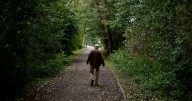Here's How Many Steps To Walk A Day To Lower Dementia Risk