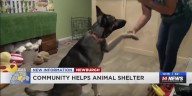 Pet groomer helped shelter dogs after PBTT fire displaced them