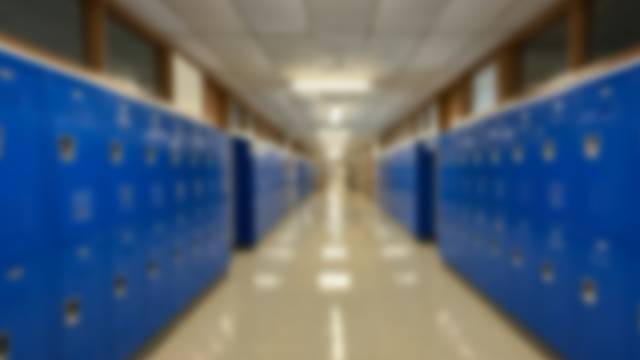 Man arrested after trying to enter school with students