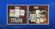 Prescription drug operation shut down with arrest of Huntsville man, recovery of pills, cash, guns