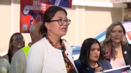 ICE activity in suburban West Chicago: Illinois state senator
