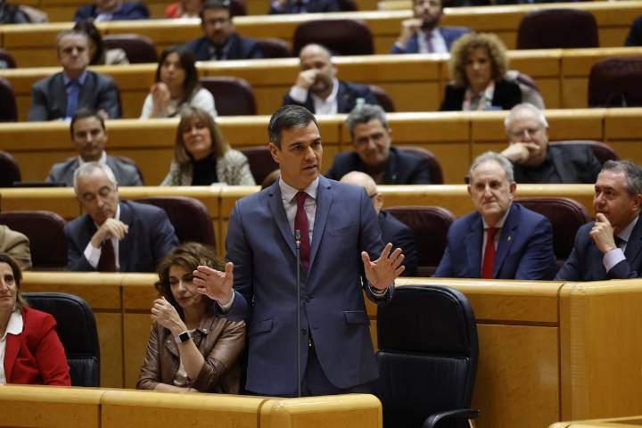 El PP reprocha por carta a Sánchez que lleve un año y medio sin acudir al control del Senado
