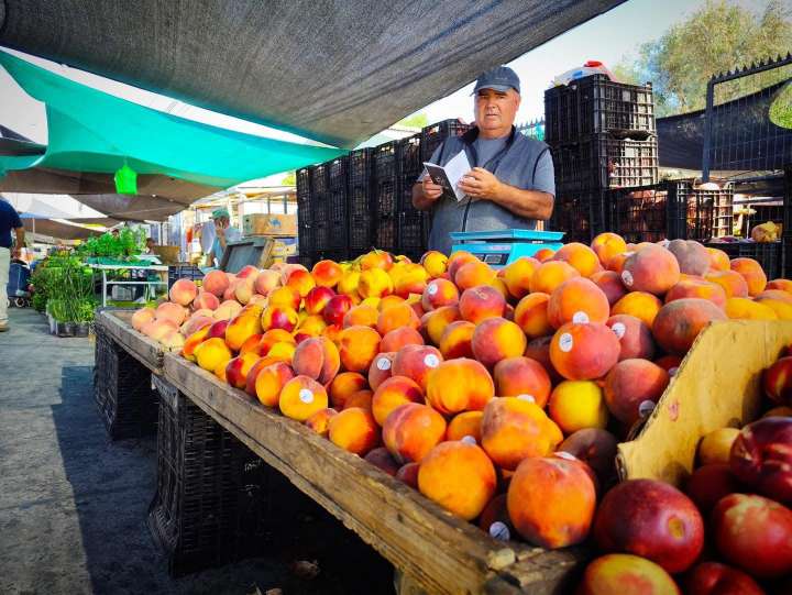 Feriantes de Parral se adjudican proyecto de Sercotec para mejorar sus condiciones de trabajo