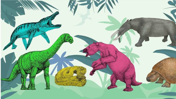 Gigantes desconocidos: los fósiles colombianos de reptiles prehistóricos que habitaron el país hace millones de años