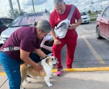Policías Municipales ayudan a reunir a una perrita de apoyo emocional con su familia
