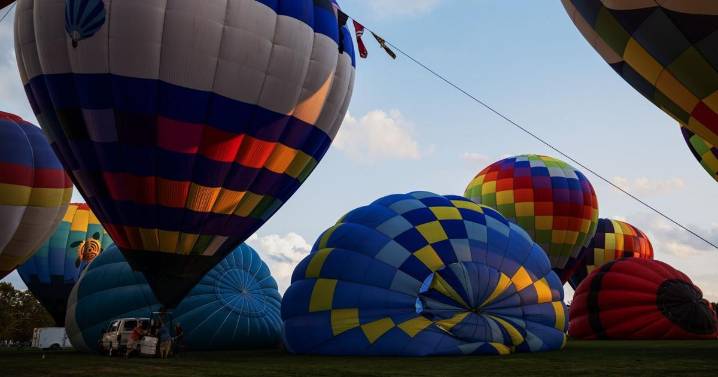 Great Forest Park Balloon Race canceled due to inclement weather