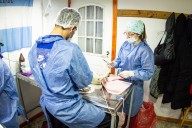 Mañana último día de castración masiva en la Margen Sur