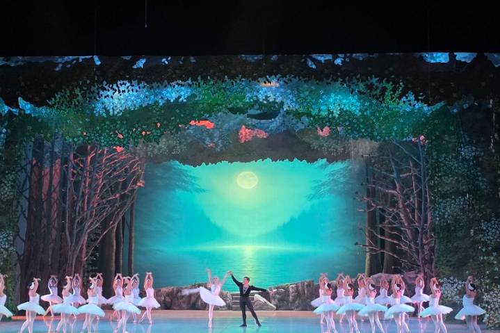 Caracas se rinde ante la belleza de "El lago de los cisnes"