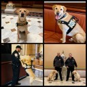 Capitol police announce passing of K