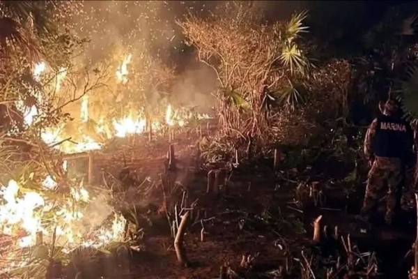 Urgen a investigar incendio en Holbox