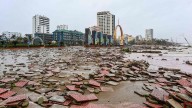 Death toll from Typhoon Bualoi rises to 11 in Vietnam