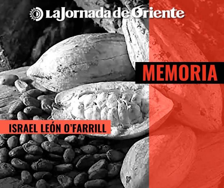 ¿El origen del cacao?