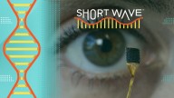 Brain implants can help people move or speak. But some scientists worry about privacy : Short Wave : NPR