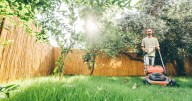 Lawns will look fresh and lush if 2 simple tasks are done in September