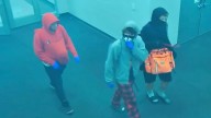 Police seek suspects in theft of electronics, cash at New Palestine High School