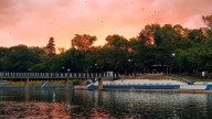El destino a pocas horas de Buenos Aires para disfrutar en primavera