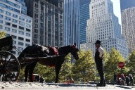 Mayor Adams calls to ban carriage horses in NYC, replace them with electric cars