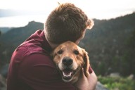 Adopt Dogs and Cats at Nicholas Pet Haven in Tyler