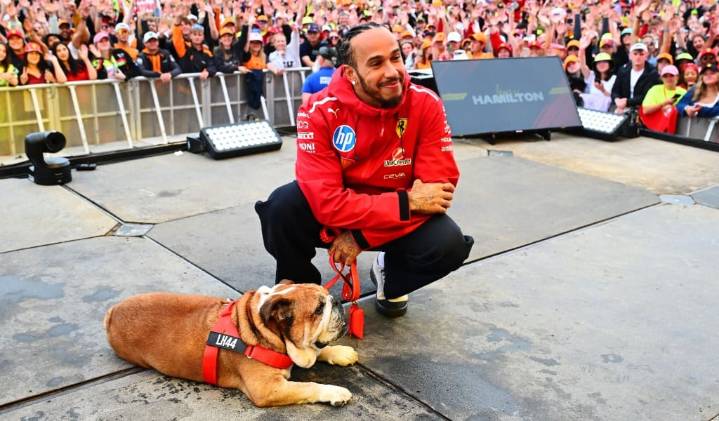 “La decisión más difícil de mi vida”: Lewis Hamilton confirma la muerte de su querida mascota Roscoe