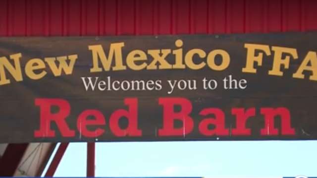 State Fair livestock sale is the 2nd largest ever