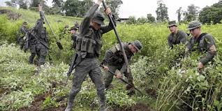 Colombia enfrenta posible descertificación de EE. UU. en lucha contra las drogas