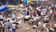 e-LISS To Help Evidence-Based Policymaking For Farmers, Enhance Animal Health Services