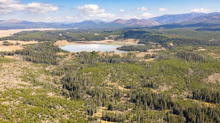 Bear attack on hiker closes trail in Yellowstone National Park