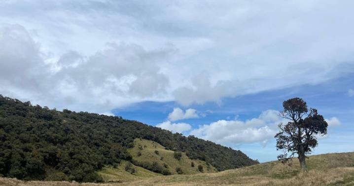 Abierta convocatoria para reconocer las mejores iniciativas ambientales de Manizales