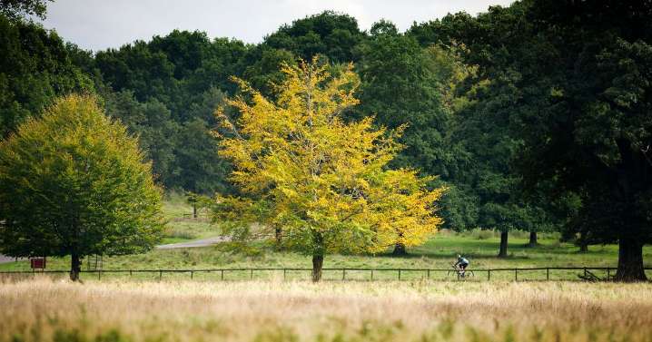 The north west garden named among UK’s best to visit this autumn
