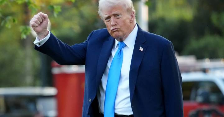 The big contradiction in progressive thinking about Trump