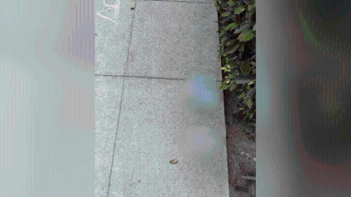 Glendale police investigate suspected hate crime involving swastika vandalism