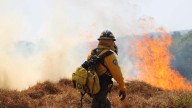 Acumula Nayarit más de 60 mil hectáreas afectadas por incendios forestales