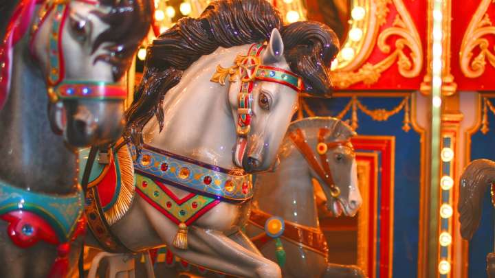 Sugar Sand Park Celebrates 20th Anniversary - South Florida on the Cheap