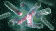 Drug-resistant “superbugs” see alarming rise in U.S.