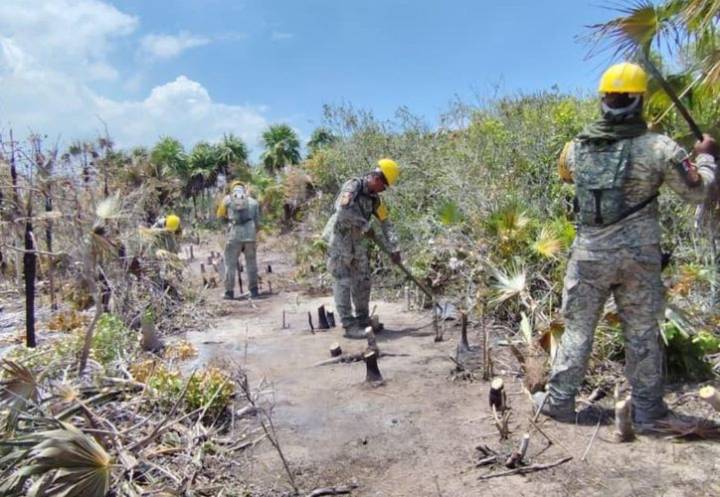 Piden veda de 20 años en Holbox tras incendio forestal