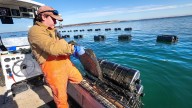 Suffolk sets aside nearly $10M to preserve waterfront industry