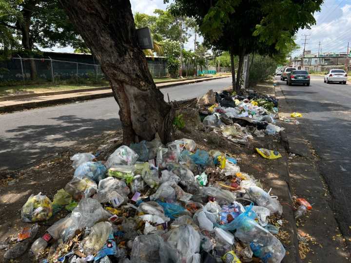 Vecinos de los Guaritos IV piden contenedores de basura para eliminar vertederos improvisados