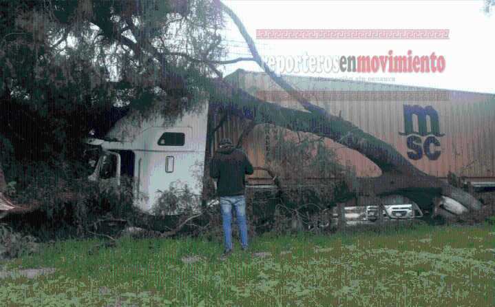 TRÁILER CHOCÓ CONTRA UN ÁRBOL EN LOS REYES ACAQUILPAN; LA PAZ