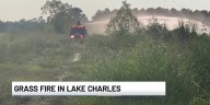 Grass fire extinguished on Pujol Road