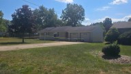 18 cats, dog found dead in Canfield home