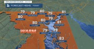 You'll need the umbrella today!