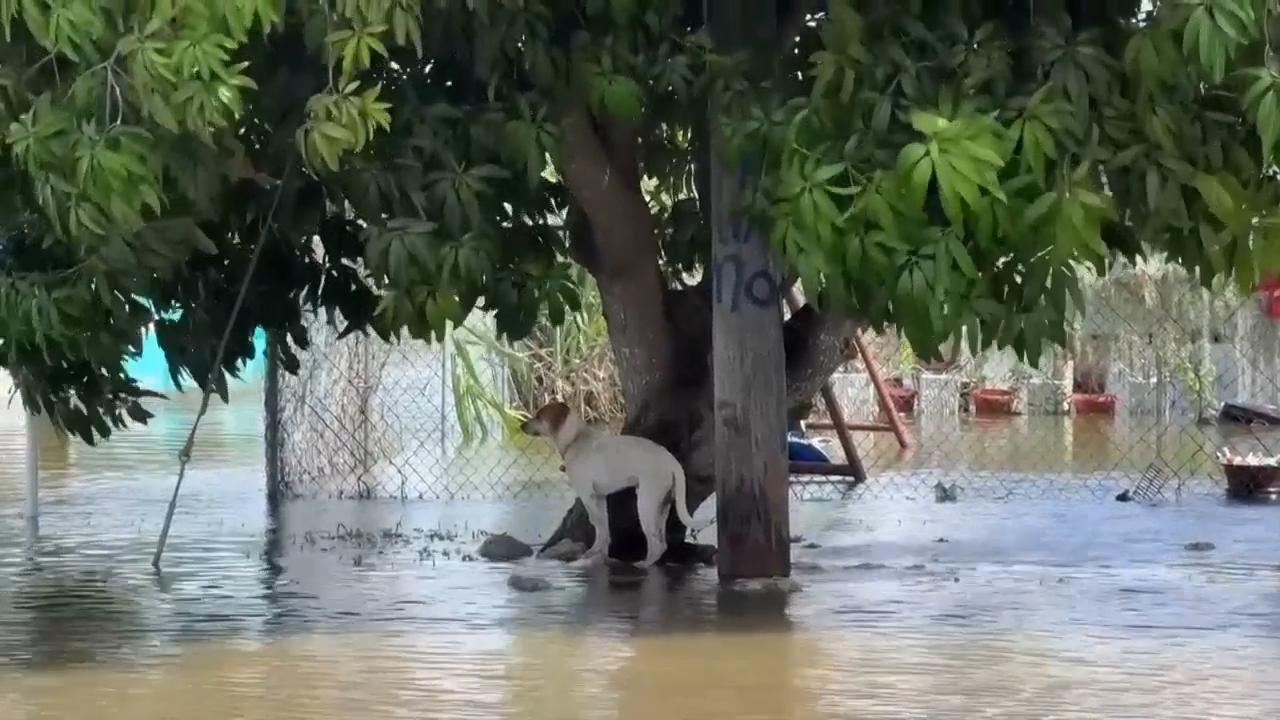 Imelda strengthens to a Category 2 hurricane as flooding affects the Bahamas