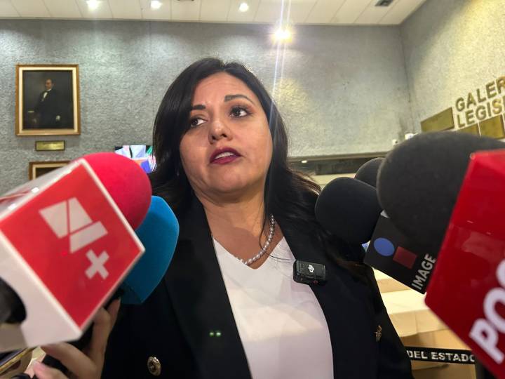 Reforma electoral pendiente, Congreso pide su publicación