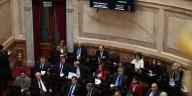 Senado: la oposición dejó sin efecto el veto de Milei y reactivó la ley de emergencia en discapacidad