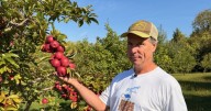 New Berlin orchard preserves agricultural history dating back centuries