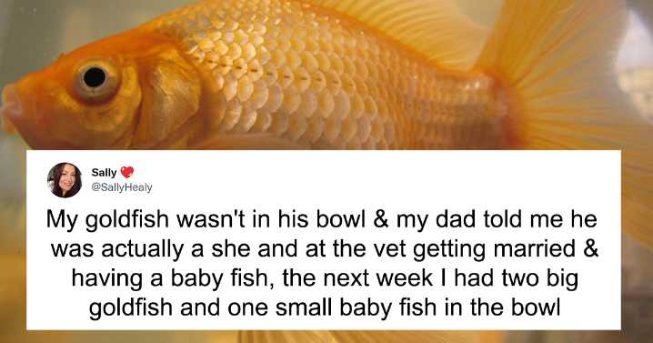 Twitter User Asked, “What Is The Dumbest Thing You Believed As A Child?” And 34 Folks Delivered